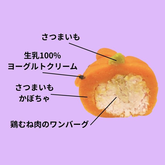 犬用【パンプキンドッグ】ハロウィン2025 4