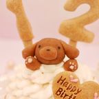 ≪犬用ケーキ≫ハッピープリティーウーわんケーキ 誕生日 お祝い 無添加 2