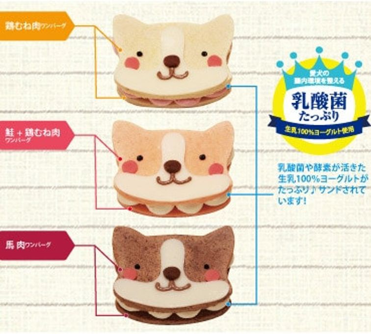 ≪犬用ケーキ≫ワンバーグ発酵ケーキ 【ウェルシュコーギーみたいなタイプ】 誕生日 お祝い 無添加 4