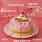犬猫用【お魚のクリスマスケーキ】 クリスマス2026 5
