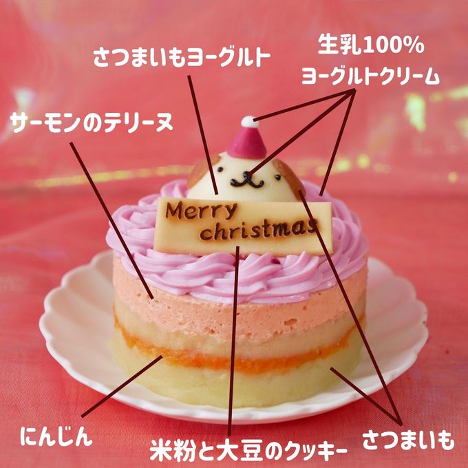 犬猫用【お魚のクリスマスケーキ】 クリスマス2026 5