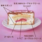 犬用【ラブレターケーキ】バレンタイン2026 3