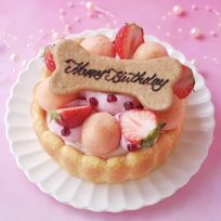 ≪犬用ケーキ≫中・大型犬向け☆ハッピーシャルロット 誕生日 お祝い 無添加 乳糖フリー 安心安全