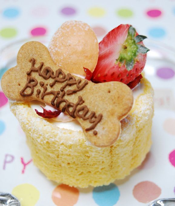 ≪犬用ケーキ≫小型犬向け☆ハッピープチシャルロット 誕生日 お祝い 無添加 1