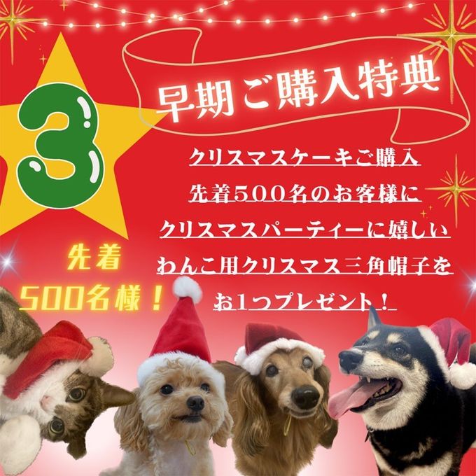 中大型犬用【クリスマス ショート レギュラー】 クリスマス2026 7