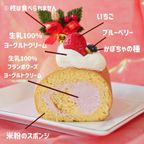 ワンちゃんもネコちゃんも飼い主さんも食べられるケーキ【ハッピー クリスマス ロールケーキ】 クリスマス2026 4