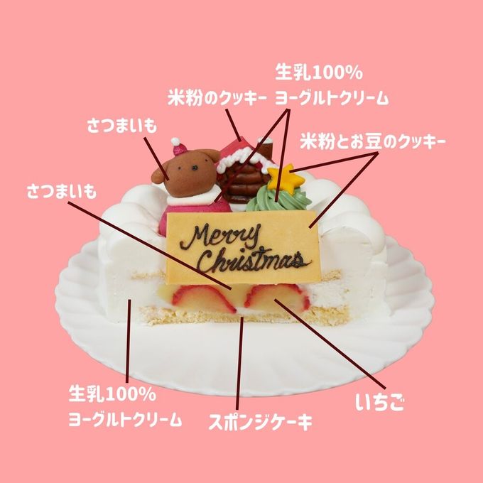 中大型犬用 クリスマス ショート レギュラー 4