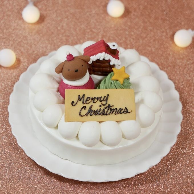中大型犬用 クリスマス ショート レギュラー 1