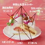 犬用【クリスマス ショート ケーキ プチ】 クリスマス2026 4