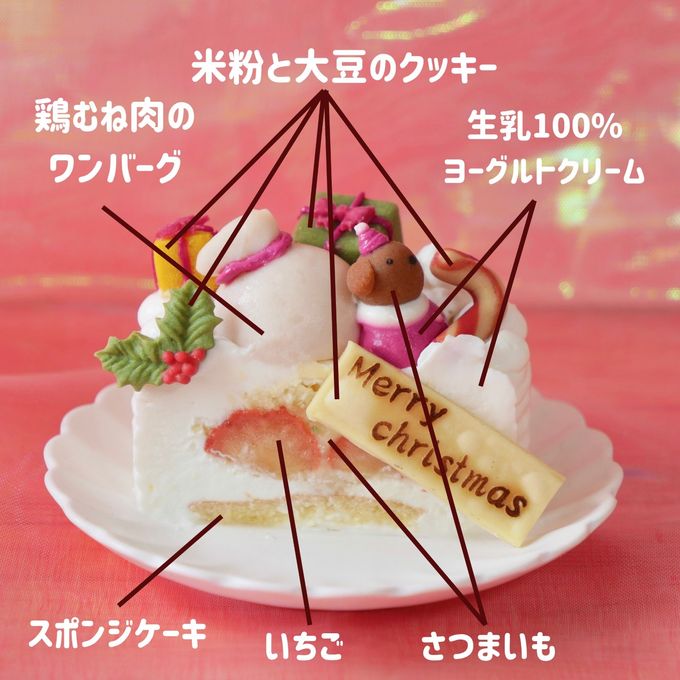 犬用【クリスマス ショート ケーキ プチ】 クリスマス2026 4