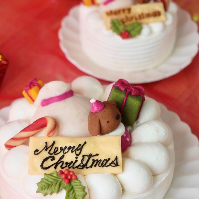 中大型犬用【クリスマス ショート レギュラー】 クリスマス2026 3