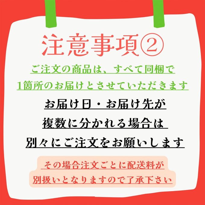 クリスマス2024 ホワイトいちごのショートケーキ【レギュラーサイズ】 7