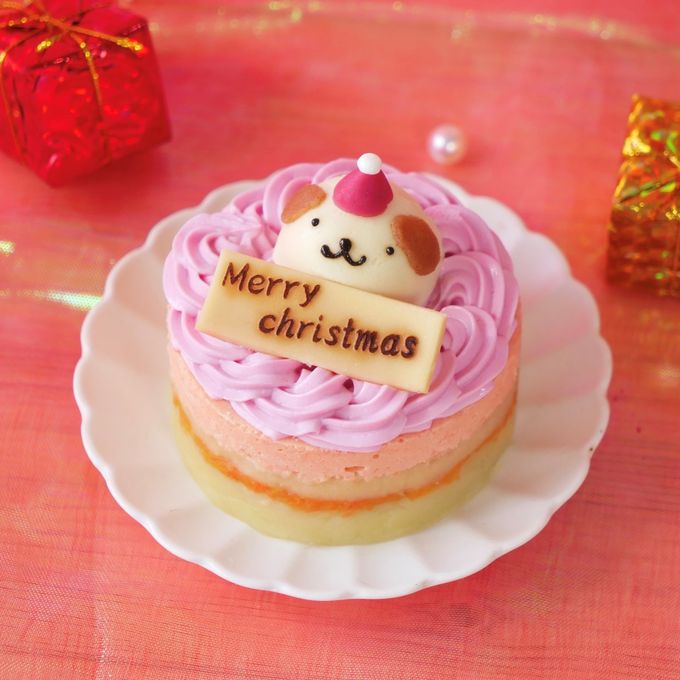 犬猫用【お魚のクリスマスケーキ】 クリスマス2026 3