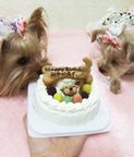 ≪犬用ケーキ≫中・大型犬用☆ハッピーミート【お肉のケーキ】 誕生日 お祝い 無添加 3