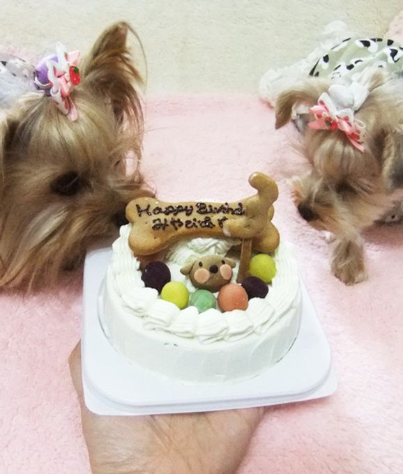 ≪犬用ケーキ≫中・大型犬用☆ハッピーミート【お肉のケーキ】 誕生日 お祝い 無添加 3