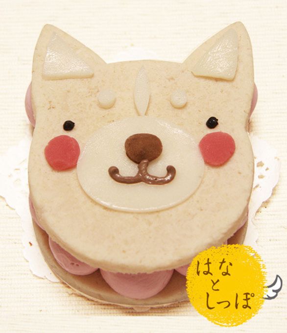 ≪犬用ケーキ≫ワンバーグ発酵ケーキ 【スムースコートチワワみたいなタイプ】 誕生日 お祝い 無添加 1