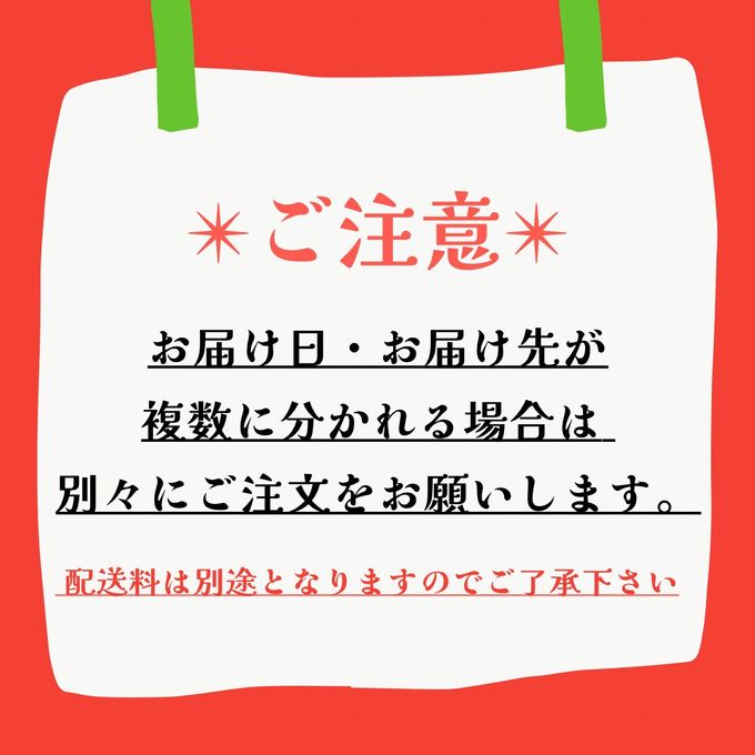 犬猫用 お魚のクリスマスケーキ 6