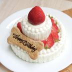 ≪犬・猫用ケーキ≫スペシャルな2段ショートケーキ☆ハッピーゴージャス 誕生日 お祝い 無添加 2