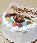 ≪犬用ケーキ≫中・大型犬用☆ハッピーミート【お肉のケーキ】 誕生日 お祝い 無添加 2