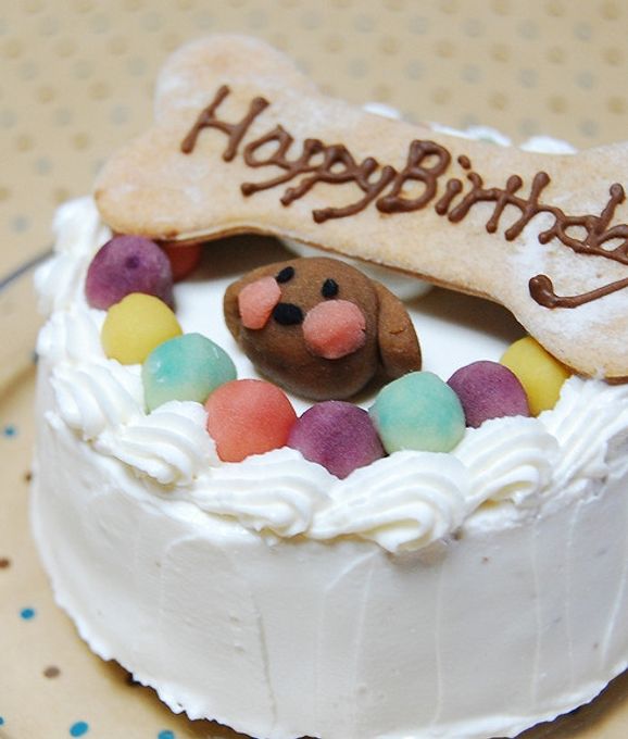 ≪犬用ケーキ≫中・大型犬用☆ハッピーミート【お肉のケーキ】 誕生日 お祝い 無添加 2