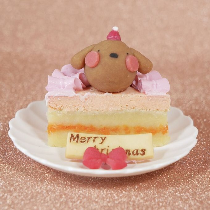 犬猫用 お魚のクリスマスケーキ 3