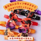 犬用【パンプキンドッグ】ハロウィン2025 3