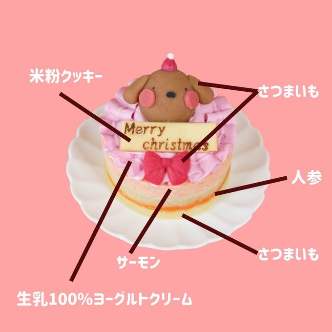 犬猫用 お魚のクリスマスケーキ 4