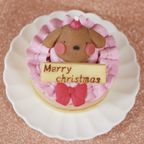 犬猫用 お魚のクリスマスケーキ 2