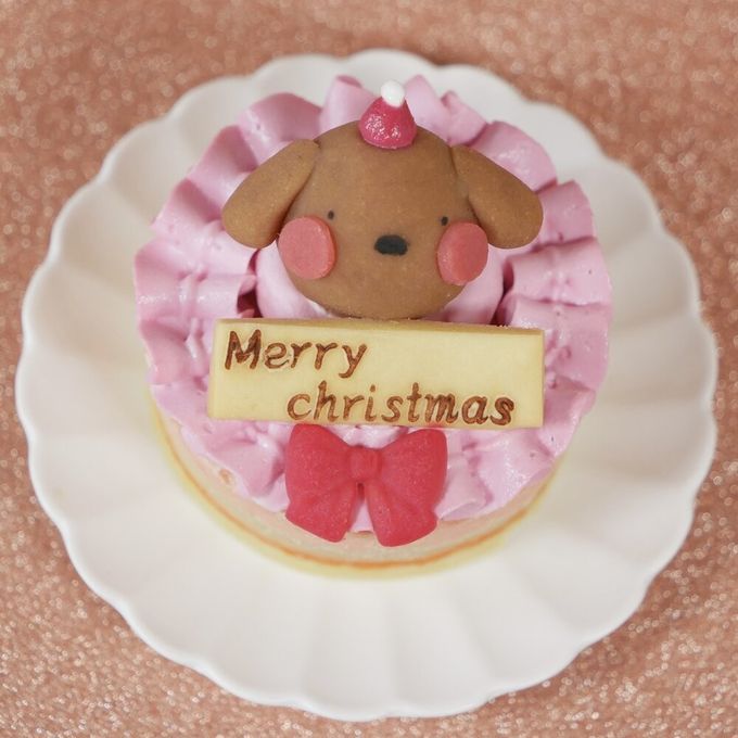 犬猫用 お魚のクリスマスケーキ 2