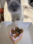 《犬用》小型犬向け☆ハッピープチLOVEフード《お魚のプチケーキ》 誕生日 お祝い 無添加 4