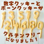 ≪犬用ケーキ≫中・大型犬向け☆ハッピーシャルロット 誕生日 お祝い 無添加 乳糖フリー 安心安全 2