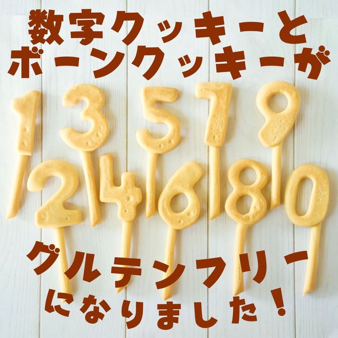 ≪犬用ケーキ≫中・大型犬向け☆ハッピーシャルロット 誕生日 お祝い 無添加 乳糖フリー 安心安全 2