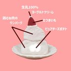 犬用ケーキ お肉のわんこサンタ 4