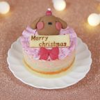 犬猫用 お魚のクリスマスケーキ 1