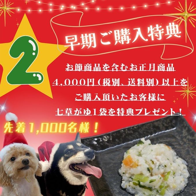 犬用ケーキ【お肉のわんこサンタ】 クリスマス2026 6