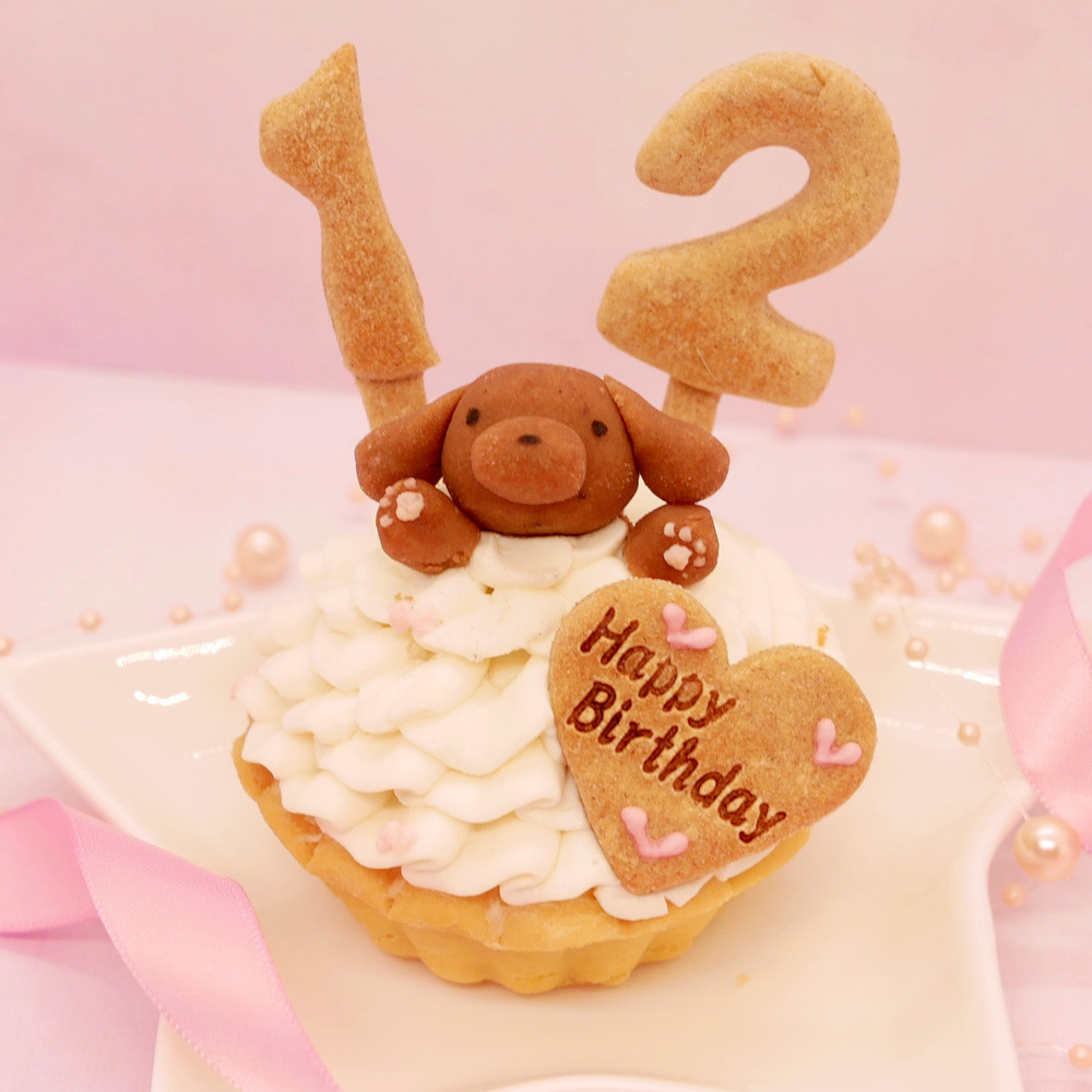 新品箱入り、バースデーケーキ木製オルゴール、お誕生日、犬 新品