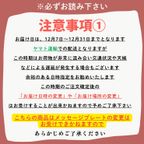 中大型犬用【クリスマス ショート レギュラー】 クリスマス2026 8