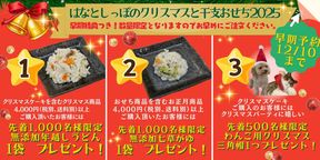犬猫用 お魚のクリスマスケーキ 5