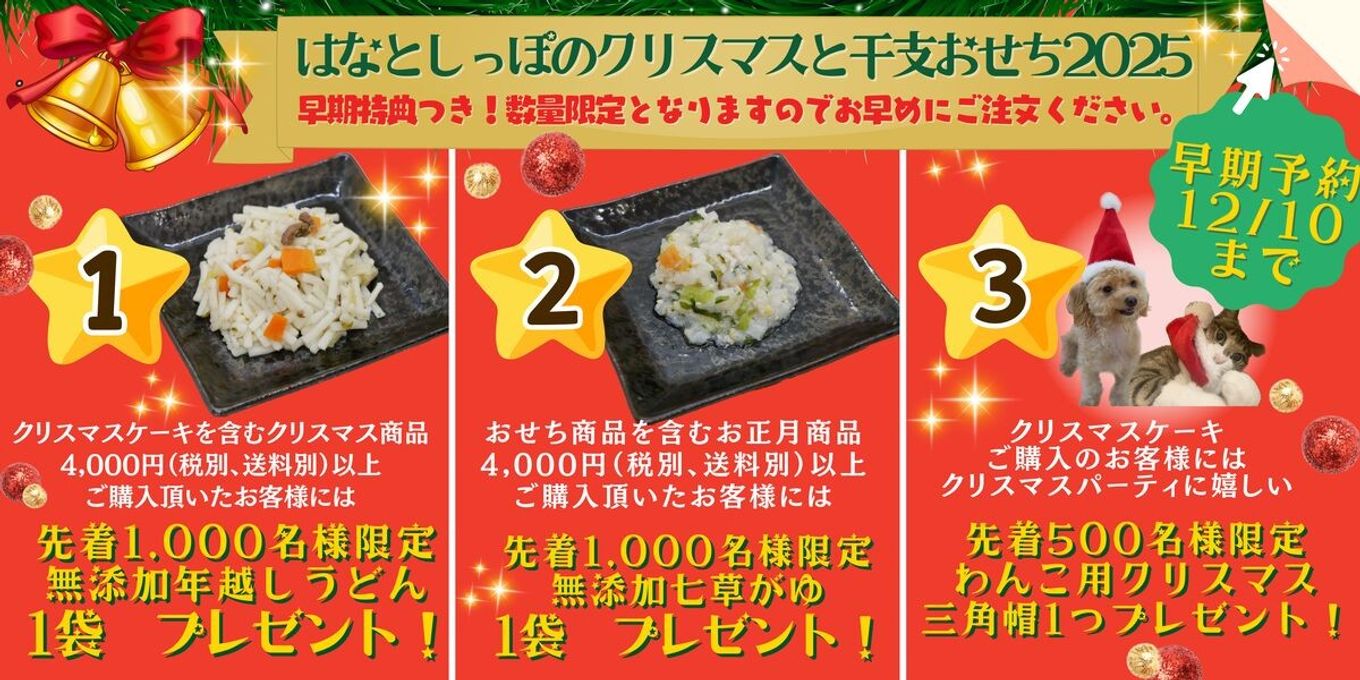 犬猫用 お魚のクリスマスケーキ 5