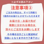 犬猫用【お魚のクリスマスケーキ】 クリスマス2026 10