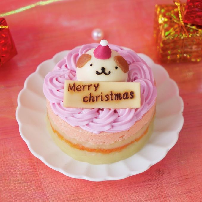 犬猫用【お魚のクリスマスケーキ】 クリスマス2026 2