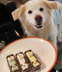 ≪犬用ケーキ≫ハッピー鹿肉ミートローフ【鹿肉のプチケーキ】 誕生日 お祝い 無添加 3