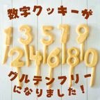 ≪犬用ケーキ≫中・大型犬用☆ハッピーミート【お肉のケーキ】 誕生日 お祝い 無添加 人気 乳糖フリー グルテンフリー安心安全 3