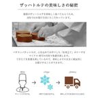 魅惑のザッハトルテ 5号  (cake050xmas) クリスマス2024 7