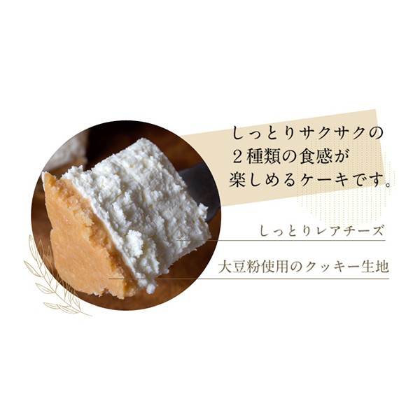 低糖質レアチーズケーキ 4号(cheese011p) お中元2025（創作和