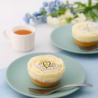 ちりんちりんアイスケーキ盛り付け例 1