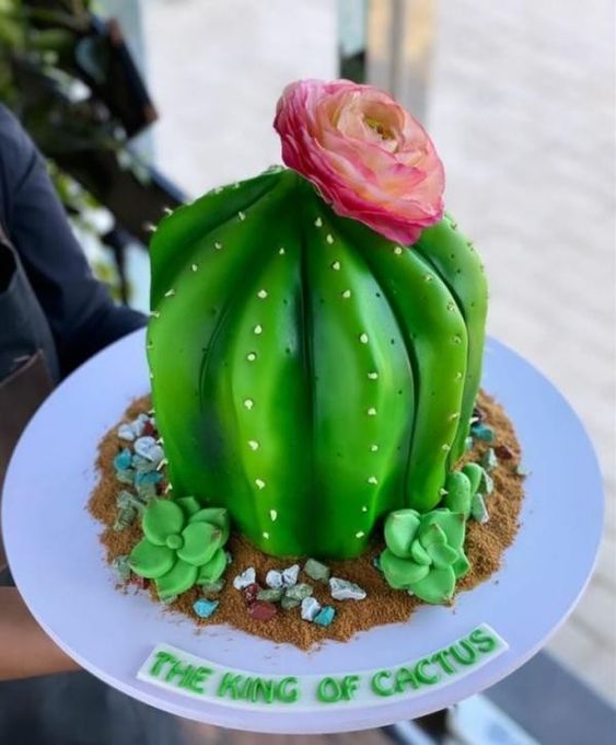 フォンダンケーキ「サボテン」 1