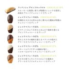ショコラマドレーヌ・フィナンシェブロンドアソート10個セット お歳暮2025 2