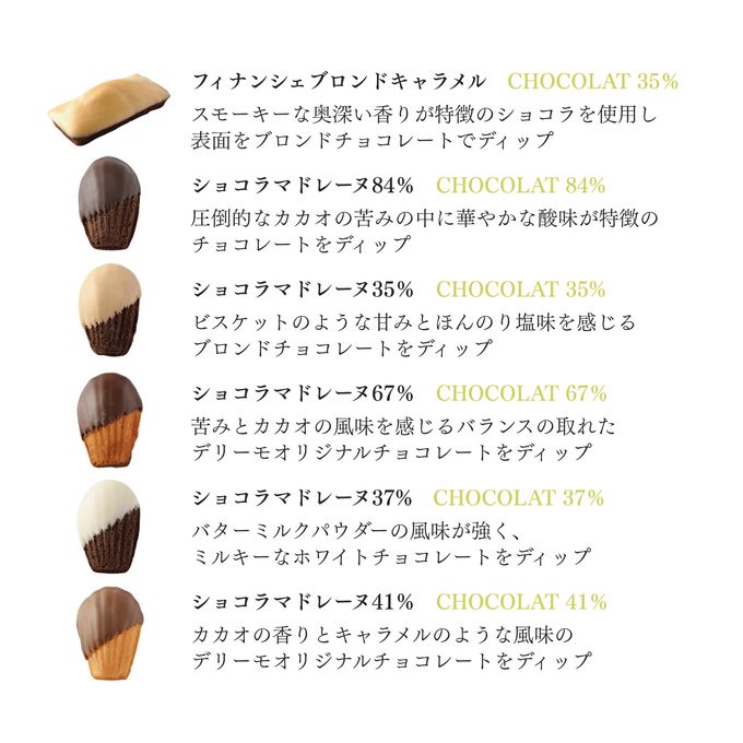 ショコラマドレーヌ・フィナンシェブロンドアソート10個セット お歳暮2025 2