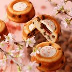 サクラ焼菓子ギフト6個セット 母の日2026 5